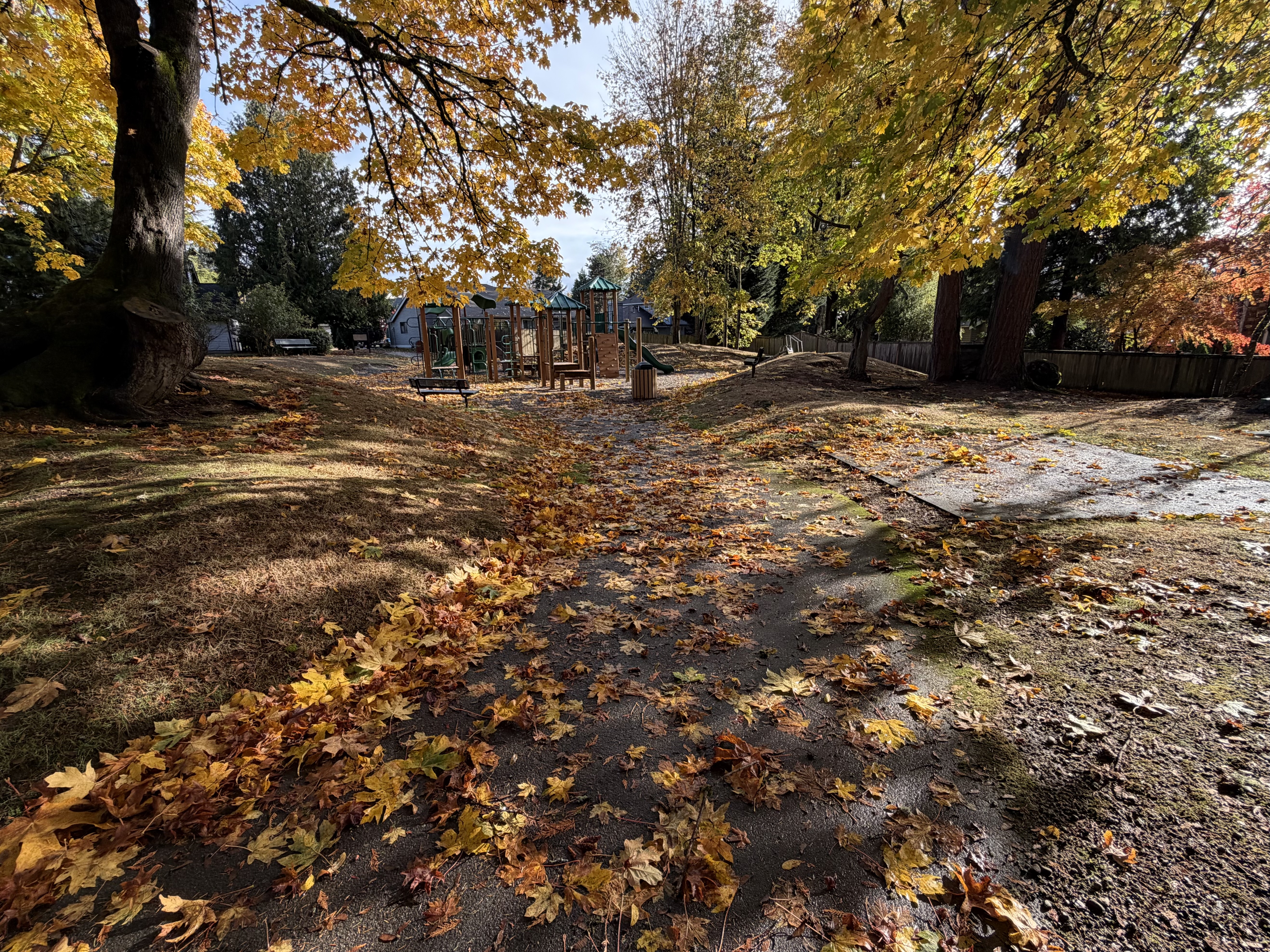 Community image