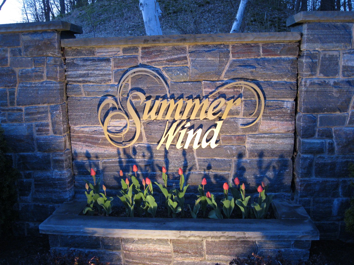Community image